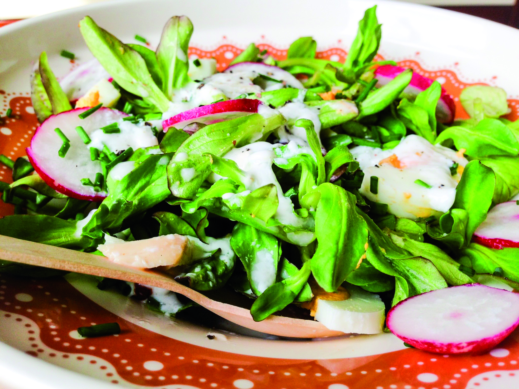 Spring salad with mildly hot kefir dressing - Kefirko Blog