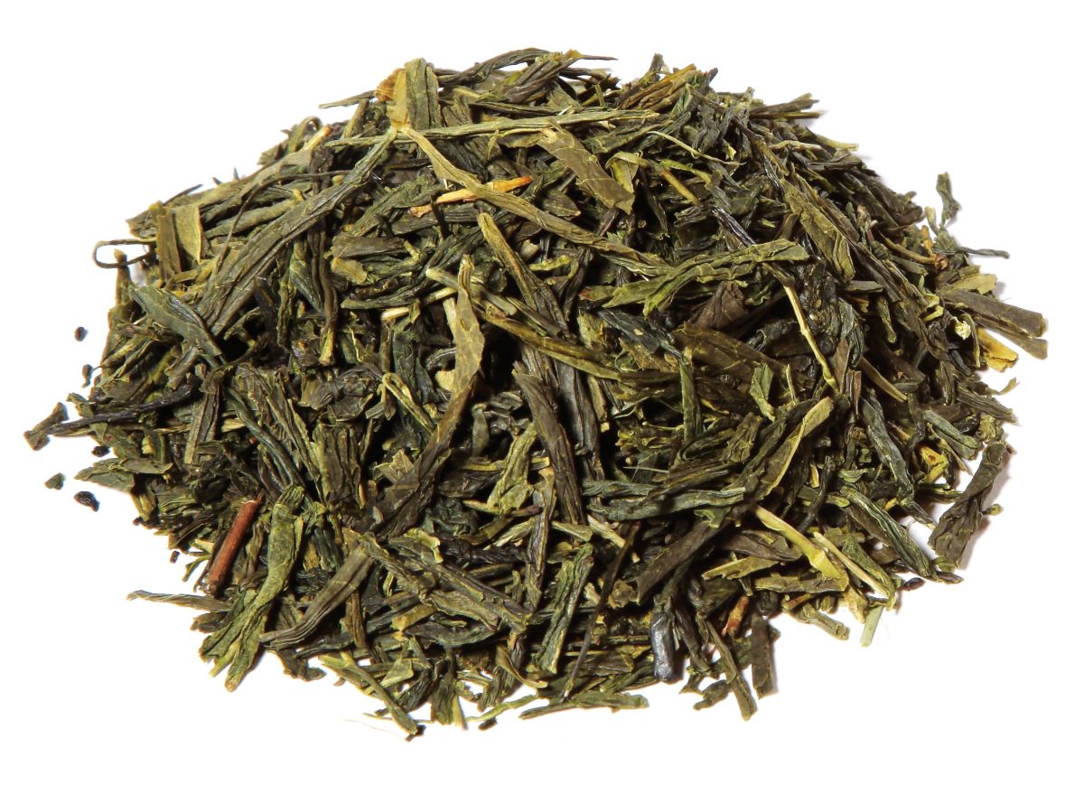 green tea for kombucha