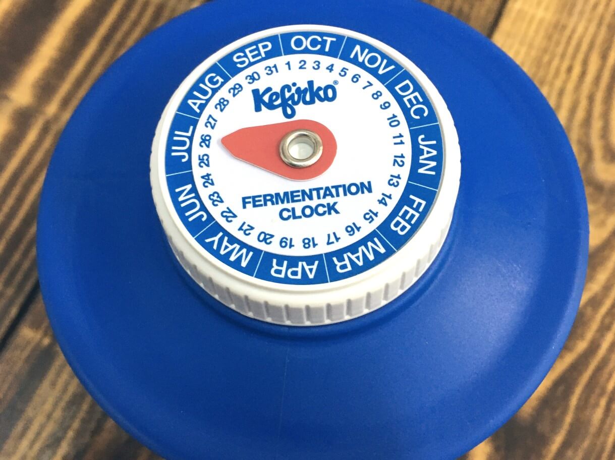 Kefirko 2nd Fermentation Bottle 1.4 Litre with Blue Lid for Storing and  Drinking Milk & Water Kefir