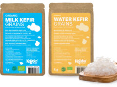 kefir grains