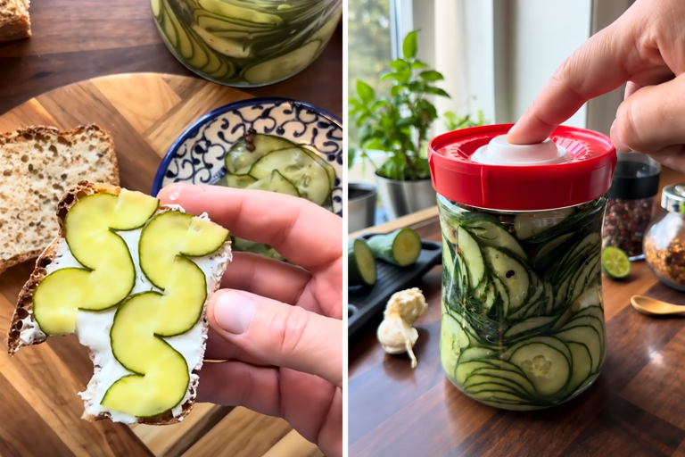 quick fermented pickles