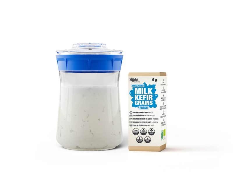 KEFIR FERMENTER AND MILK KEFIR GRAINS FRESH