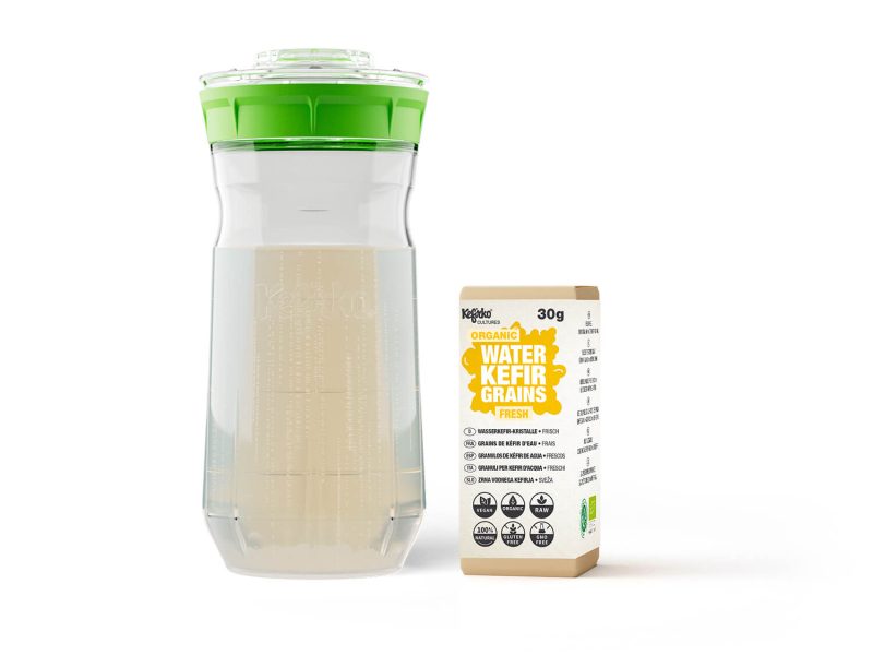 KEFIR FERMENTER AND WATER KEFIR GRAINS FRESH