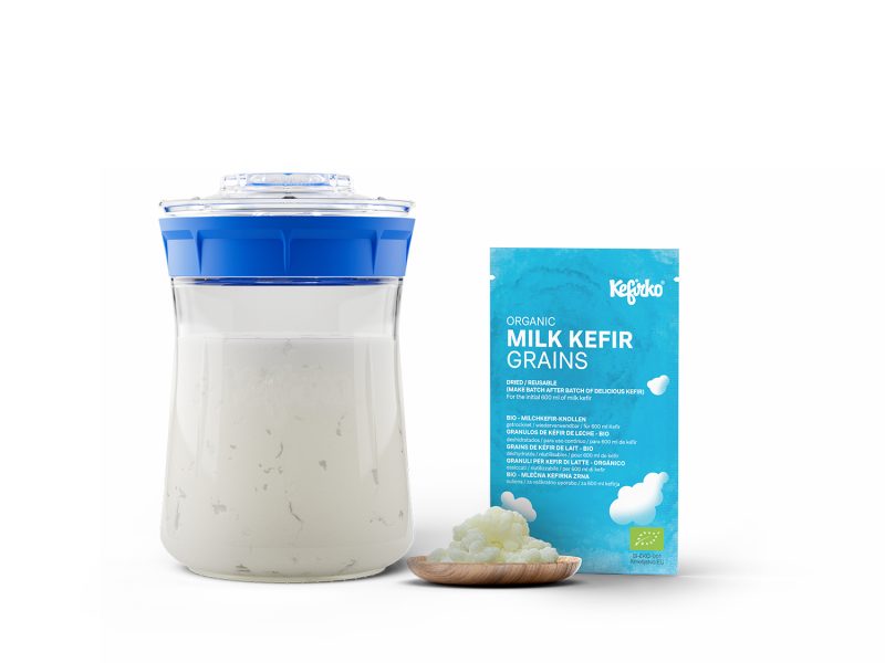 MILK KEFIR STARTER KIT