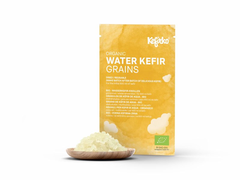 water kefir grains main photo
